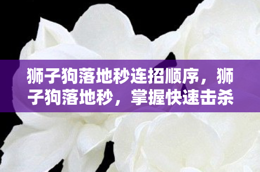 狮子狗落地秒连招顺序,狮子狗落地秒,掌握快速击杀技巧,助你称霸战场 狮子狗落地秒连招顺序,狮子狗落地秒,掌握快速击杀技巧,助你称霸战场