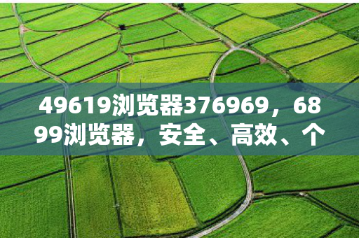 49619浏览器376969，6899浏览器，安全、高效、个性化的网络浏览新选择