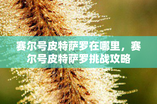 赛尔号皮特萨罗在哪里,赛尔号皮特萨罗挑战攻略 赛尔号皮特萨罗在哪里,赛尔号皮特萨罗挑战攻略