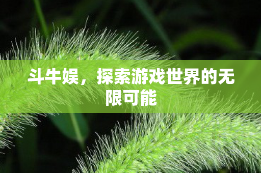 斗牛娱,探索游戏世界的无限可能 斗牛娱,探索游戏世界的无限可能