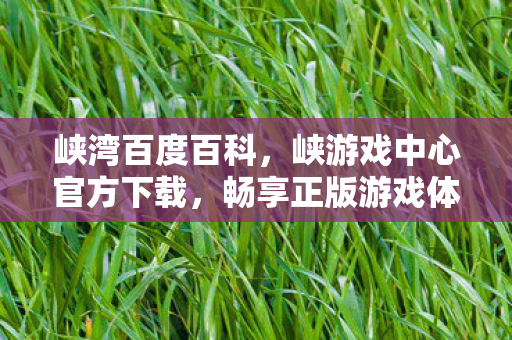 峡湾百度百科,峡游戏中心官方下载,畅享正版游戏体验 峡湾百度百科,峡游戏中心官方下载,畅享正版游戏体验