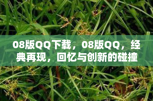 08版QQ下载,08版QQ,经典再现,回忆与创新的碰撞 08版QQ下载,08版QQ,经典再现,回忆与创新的碰撞