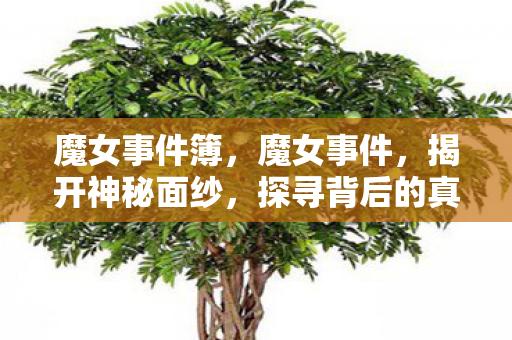 魔女事件簿,魔女事件,揭开神秘面纱,探寻背后的真相 魔女事件簿,魔女事件,揭开神秘面纱,探寻背后的真相