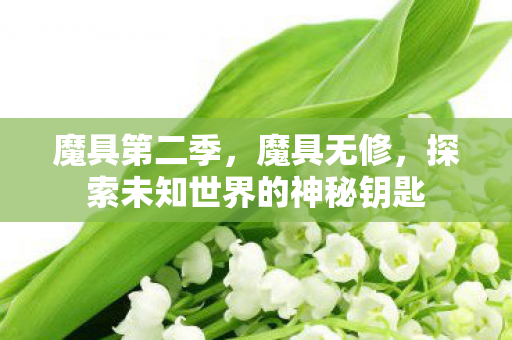 魔具第二季，魔具无修，探索未知世界的神秘钥匙