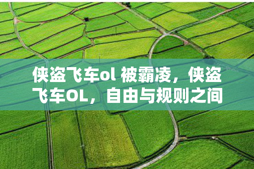 侠盗飞车ol 被霸凌,侠盗飞车OL,自由与规则之间的灰色地带 侠盗飞车ol 被霸凌,侠盗飞车OL,自由与规则之间的灰色地带