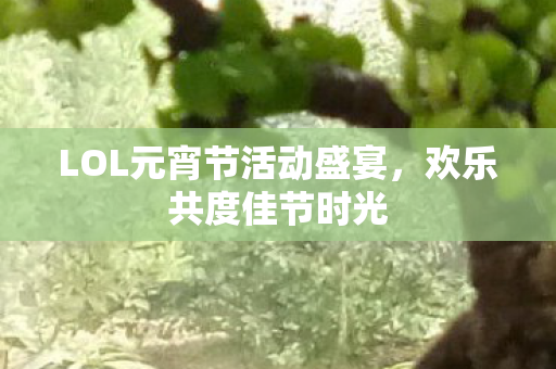 LOL元宵节活动盛宴,欢乐共度佳节时光 LOL元宵节活动盛宴,欢乐共度佳节时光