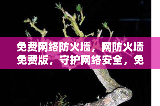 免费网络防火墙,网防火墙免费版,守护网络安全,免费也能高效 免费网络防火墙,网防火墙免费版,守护网络安全,免费也能高效