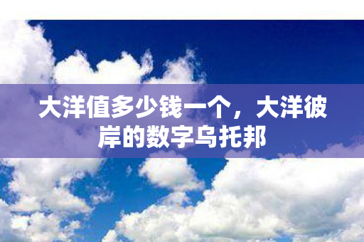 大洋值多少钱一个,大洋彼岸的数字乌托邦 大洋值多少钱一个,大洋彼岸的数字乌托邦