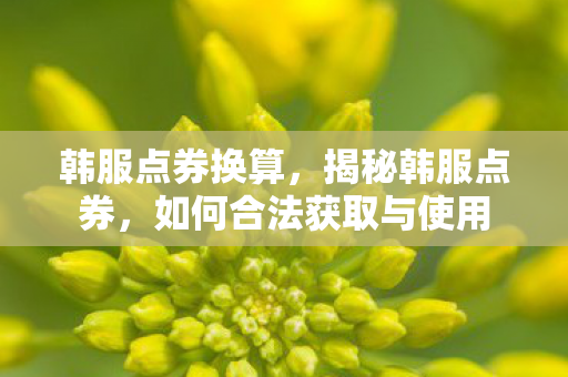 韩服点券换算,揭秘韩服点券,如何合法获取与使用 韩服点券换算,揭秘韩服点券,如何合法获取与使用