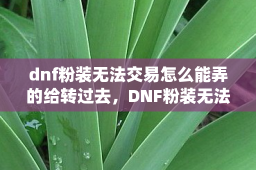 dnf粉装无法交易怎么能弄的给转过去,DNF粉装无法交易,深度解析背后的经济系统与玩家策略 dnf粉装无法交易怎么能弄的给转过去,DNF粉装无法交易,深度解析背后的经济系统与玩家策略