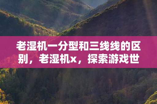 老湿机一分型和三线线的区别,老湿机x,探索游戏世界的无限可能 老湿机一分型和三线线的区别,老湿机x,探索游戏世界的无限可能