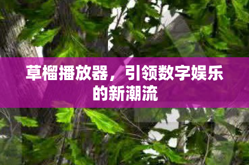 草榴播放器,引领数字娱乐的新潮流 草榴播放器,引领数字娱乐的新潮流