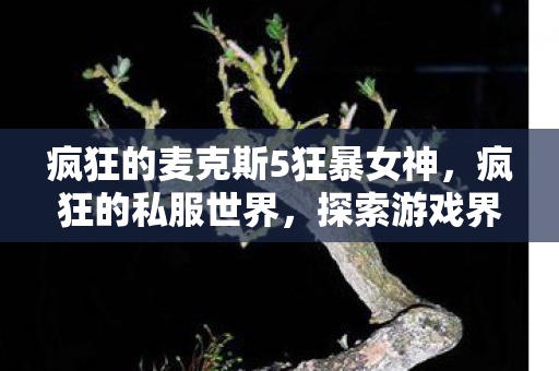 疯狂的麦克斯5狂暴女神，疯狂的私服世界，探索游戏界的另类生态