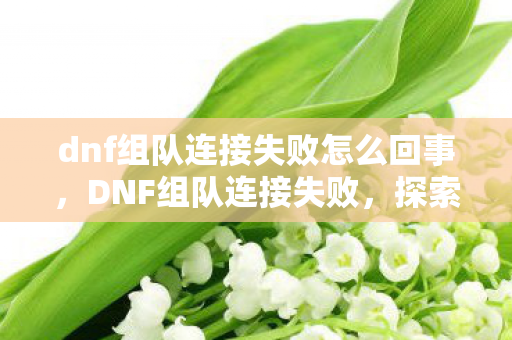 dnf组队连接失败怎么回事,DNF组队连接失败,探索游戏网络问题的深层原因与解决方案 dnf组队连接失败怎么回事,DNF组队连接失败,探索游戏网络问题的深层原因与解决方案