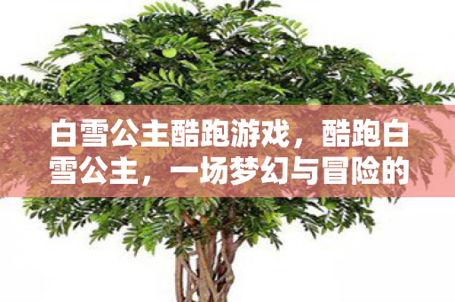 白雪公主酷跑游戏，酷跑白雪公主，一场梦幻与冒险的交织之旅