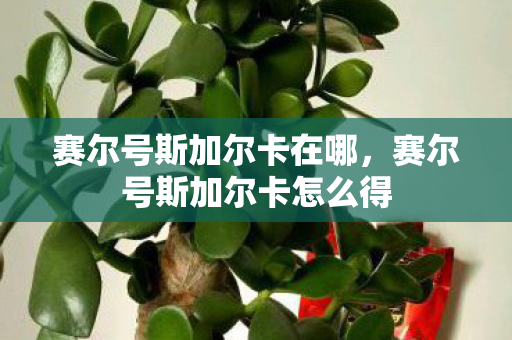 赛尔号斯加尔卡在哪，赛尔号斯加尔卡怎么得