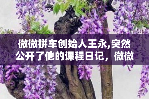 微微拼车创始人王永,突然公开了他的课程日记,微微拼车,共享经济下的绿色出行新选择 微微拼车创始人王永,突然公开了他的课程日记,微微拼车,共享经济下的绿色出行新选择