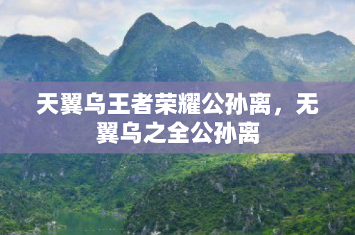 天翼乌王者荣耀公孙离，无翼乌之全公孙离