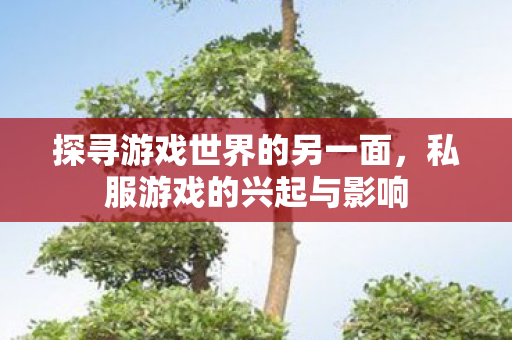 探寻游戏世界的另一面，私服游戏的兴起与影响