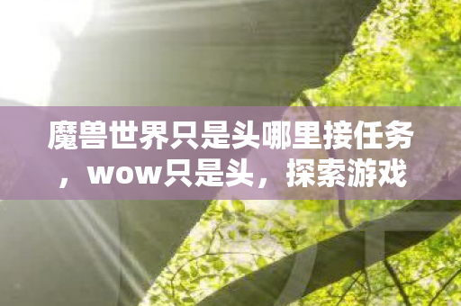 魔兽世界只是头哪里接任务，wow只是头，探索游戏世界的无限可能
