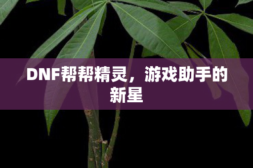 DNF帮帮精灵,游戏助手的新星 DNF帮帮精灵,游戏助手的新星