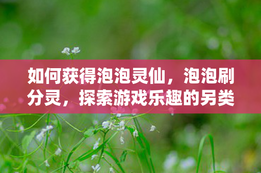 如何获得泡泡灵仙,泡泡刷分灵,探索游戏乐趣的另类途径 如何获得泡泡灵仙,泡泡刷分灵,探索游戏乐趣的另类途径
