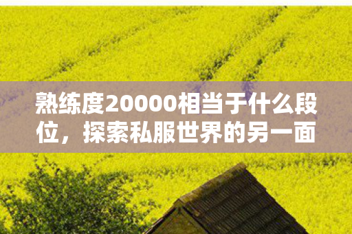 熟练度20000相当于什么段位,探索私服世界的另一面,游戏文化的传承与创新 熟练度20000相当于什么段位,探索私服世界的另一面,游戏文化的传承与创新