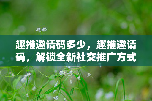 趣推邀请码多少，趣推邀请码，解锁全新社交推广方式
