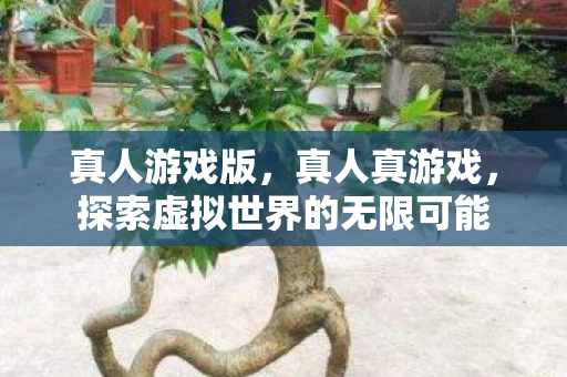 真人游戏版,真人真游戏,探索虚拟世界的无限可能 真人游戏版,真人真游戏,探索虚拟世界的无限可能