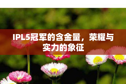 IPL5冠军的含金量,荣耀与实力的象征 IPL5冠军的含金量,荣耀与实力的象征