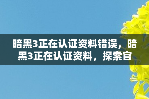 暗黑3正在认证资料错误，暗黑3正在认证资料，探索官方认证背后的意义与影响