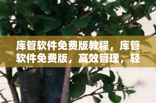 库管软件免费版教程,库管软件免费版,高效管理,轻松提升工作效率 库管软件免费版教程,库管软件免费版,高效管理,轻松提升工作效率