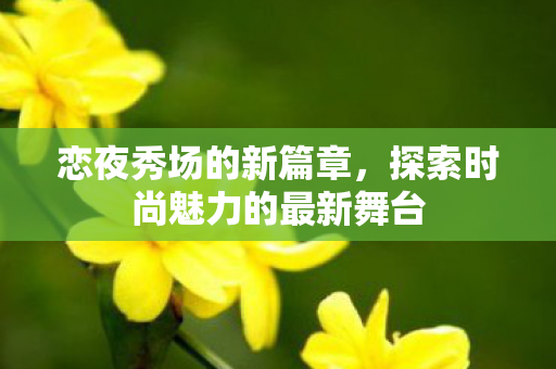 恋夜秀场的新篇章，探索时尚魅力的最新舞台