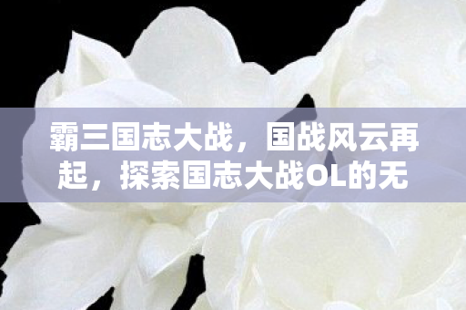 霸三国志大战,国战风云再起,探索国志大战OL的无限可能 霸三国志大战,国战风云再起,探索国志大战OL的无限可能