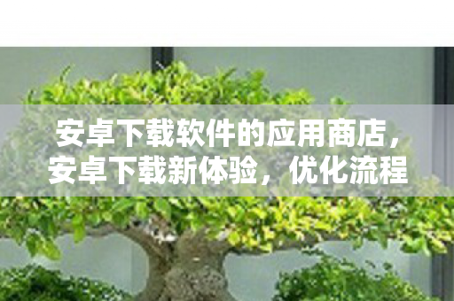 安卓下载软件的应用商店，安卓下载新体验，优化流程，提升速度，打造更便捷的应用获取方式