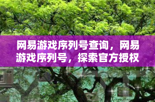 网易游戏序列号查询,网易游戏序列号,探索官方授权的奇妙世界 网易游戏序列号查询,网易游戏序列号,探索官方授权的奇妙世界