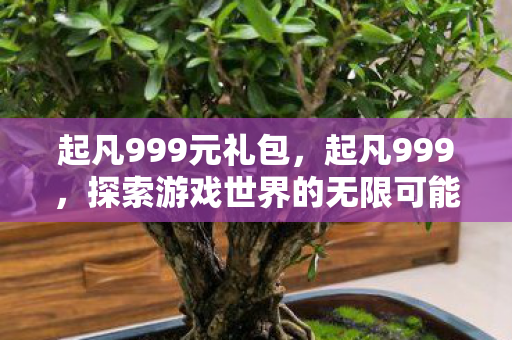 起凡999元礼包,起凡999,探索游戏世界的无限可能 起凡999元礼包,起凡999,探索游戏世界的无限可能