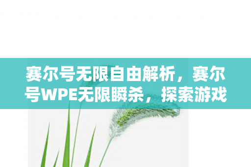赛尔号无限自由解析,赛尔号WPE无限瞬杀,探索游戏内无限可能的策略与技巧 赛尔号无限自由解析,赛尔号WPE无限瞬杀,探索游戏内无限可能的策略与技巧