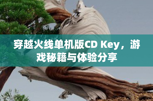 穿越火线单机版CD Key,游戏秘籍与体验分享 穿越火线单机版CD Key,游戏秘籍与体验分享