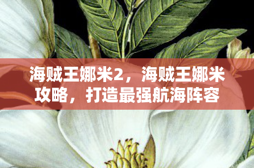 海贼王娜米2，海贼王娜米攻略，打造最强航海阵容