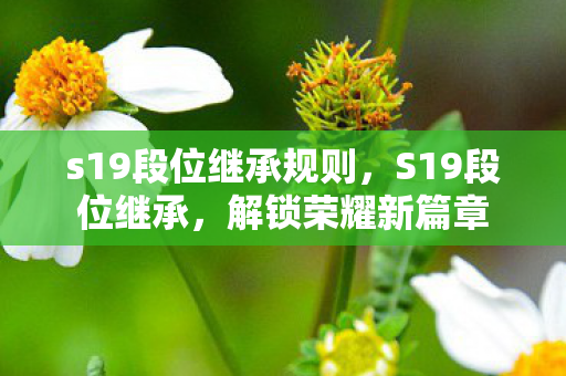 s19段位继承规则,S19段位继承,解锁荣耀新篇章 s19段位继承规则,S19段位继承,解锁荣耀新篇章