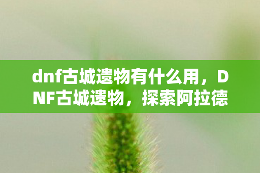 dnf古城遗物有什么用,DNF古城遗物,探索阿拉德大陆的历史痕迹 dnf古城遗物有什么用,DNF古城遗物,探索阿拉德大陆的历史痕迹