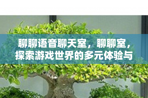 聊聊语音聊天室，聊聊室，探索游戏世界的多元体验与社交互动