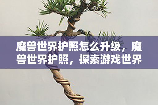 魔兽世界护照怎么升级，魔兽世界护照，探索游戏世界的通行证