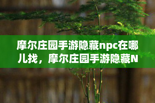 摩尔庄园手游隐藏npc在哪儿找，摩尔庄园手游隐藏NPC探索指南
