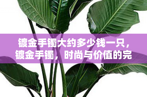 镀金手镯大约多少钱一只,镀金手镯,时尚与价值的完美融合 镀金手镯大约多少钱一只,镀金手镯,时尚与价值的完美融合