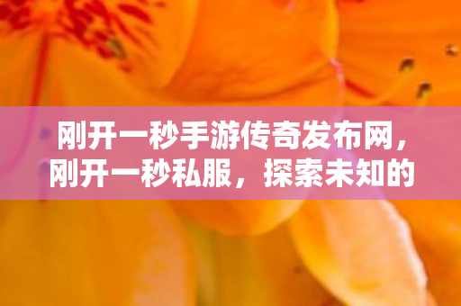 刚开一秒手游传奇发布网,刚开一秒私服,探索未知的游戏世界 刚开一秒手游传奇发布网,刚开一秒私服,探索未知的游戏世界