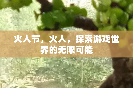 火人节,火人,探索游戏世界的无限可能 火人节,火人,探索游戏世界的无限可能