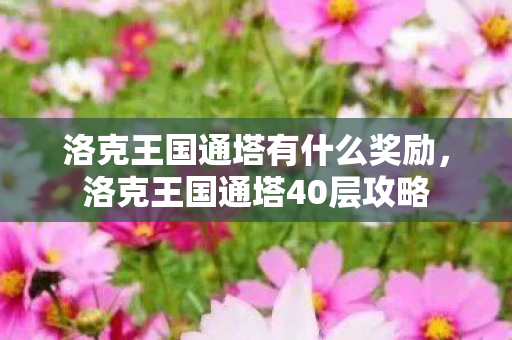 洛克王国通塔有什么奖励,洛克王国通塔40层攻略 洛克王国通塔有什么奖励,洛克王国通塔40层攻略