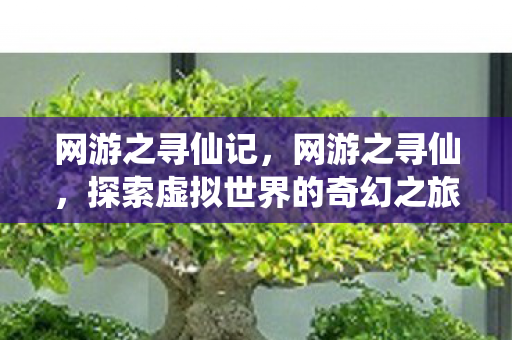网游之寻仙记,网游之寻仙,探索虚拟世界的奇幻之旅 网游之寻仙记,网游之寻仙,探索虚拟世界的奇幻之旅